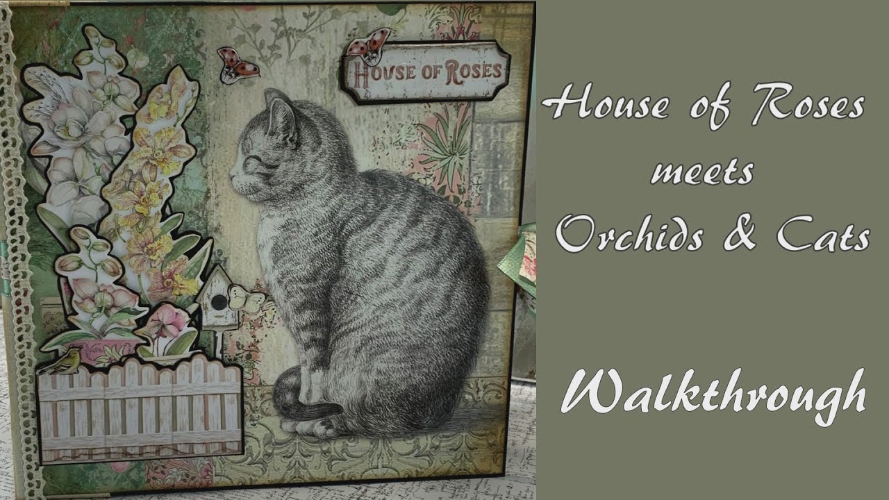 House of Roses meets Orchids and Cats - Walkthrough