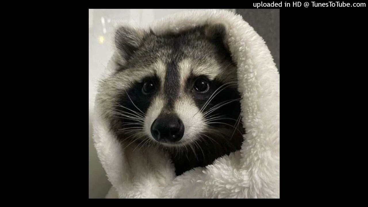 histarkey ivvys1 type beat