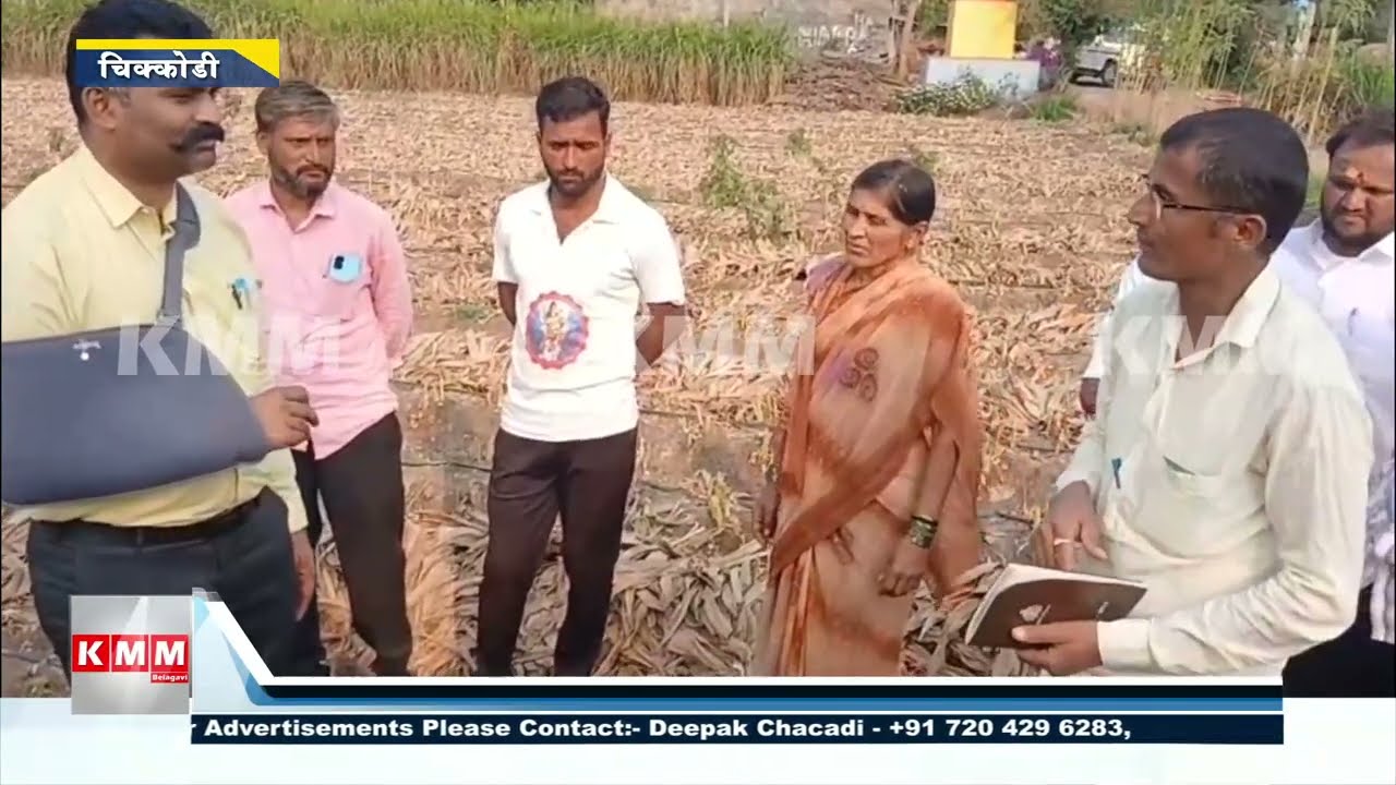 3 Kg Gold Found in Farmer’s Field? | Chikkodi Taluk Buzz