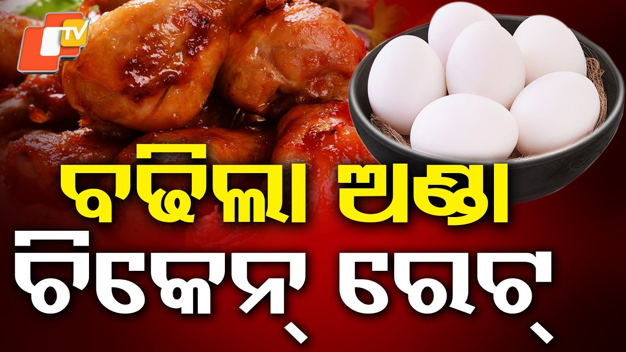 ହଠାତ୍ ବଢ଼ିଲା ଚିକେନ୍ ଓ ଅଣ୍ଡା ଦର, ଗ୍ରାହକ ଛାନିଆ ! Chicken & Egg Prices Surge! #otvdigital