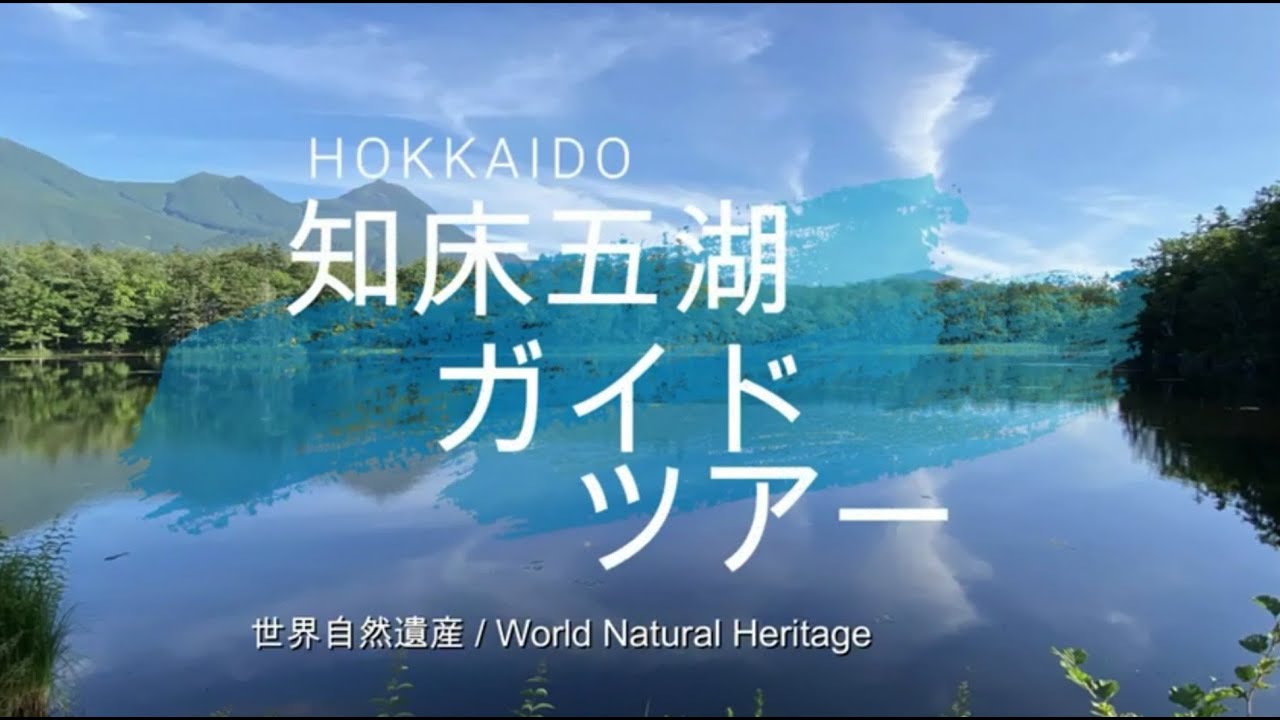 世界自然遺産 北海道知床五湖ガイドツアーWorld Natural Heritage Hokkaido  SHIRETOKO GOKO Guide tour