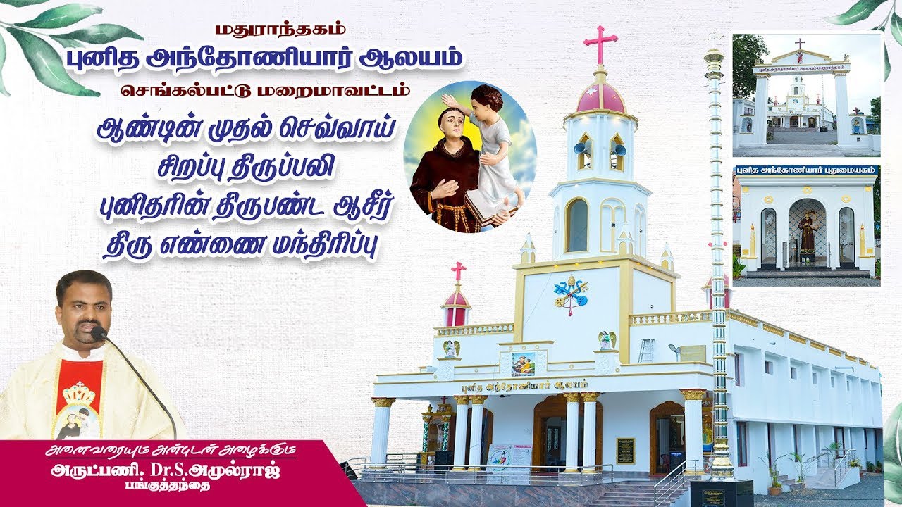 🔴Live |  முதல் செவ்வாய் கிழமை திருப்பலி புனித அந்தோணியார் ஆலயம் 03.02.2026 Rev.Fr.Dr.S.Amulraj