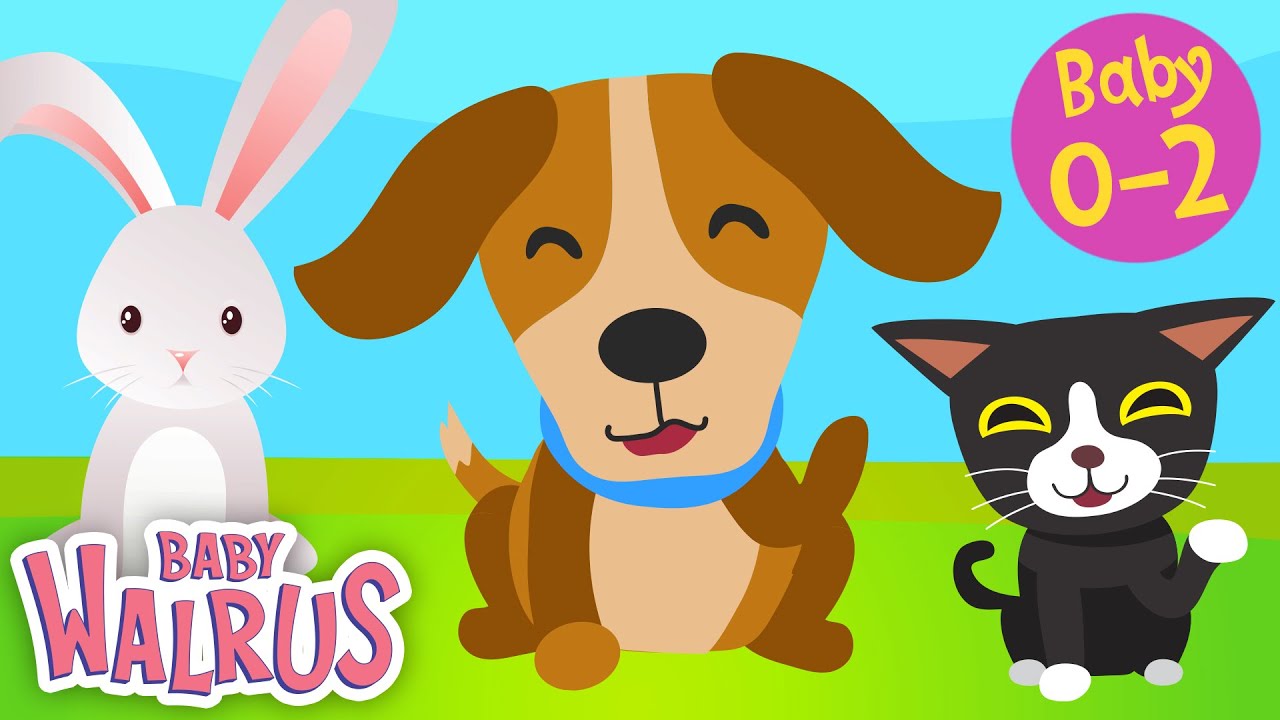 Spass am Lernen #2 | Haustiere | Z&auml;hlen & Farben | Lernen