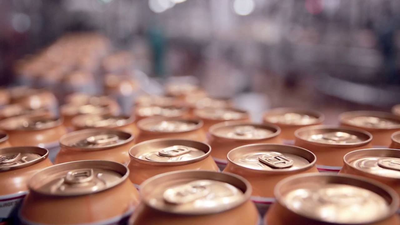 Valicor Product and Brand Destruction -  Video Overview