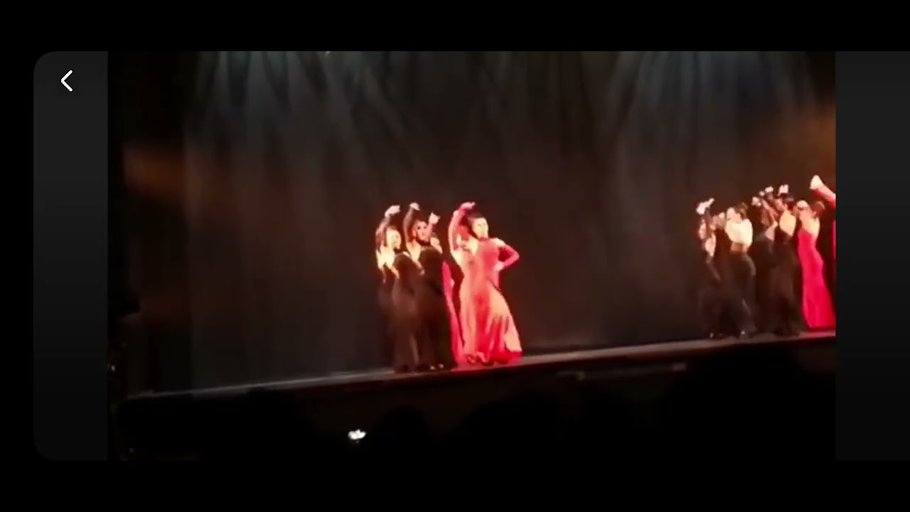Flamenco Teloneras de Los vivancos