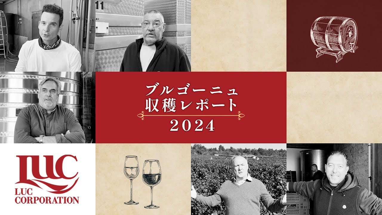 【Burgundy Harvest 2024】ブルゴーニュ 2024年収穫レポート