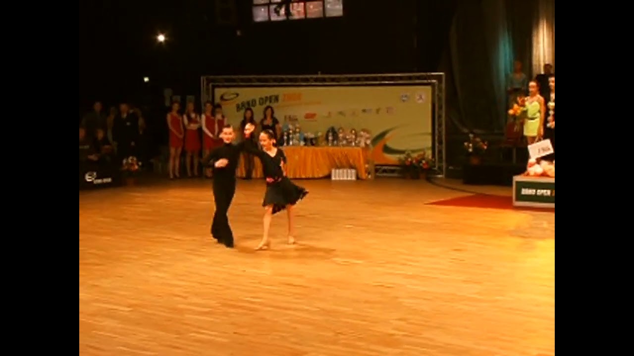 Brno Open 2008