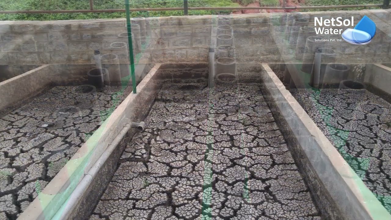 What is Sludge Processing and Methods to Sludge Processing | Netsol Water