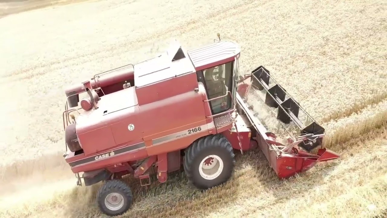 IH case 2166