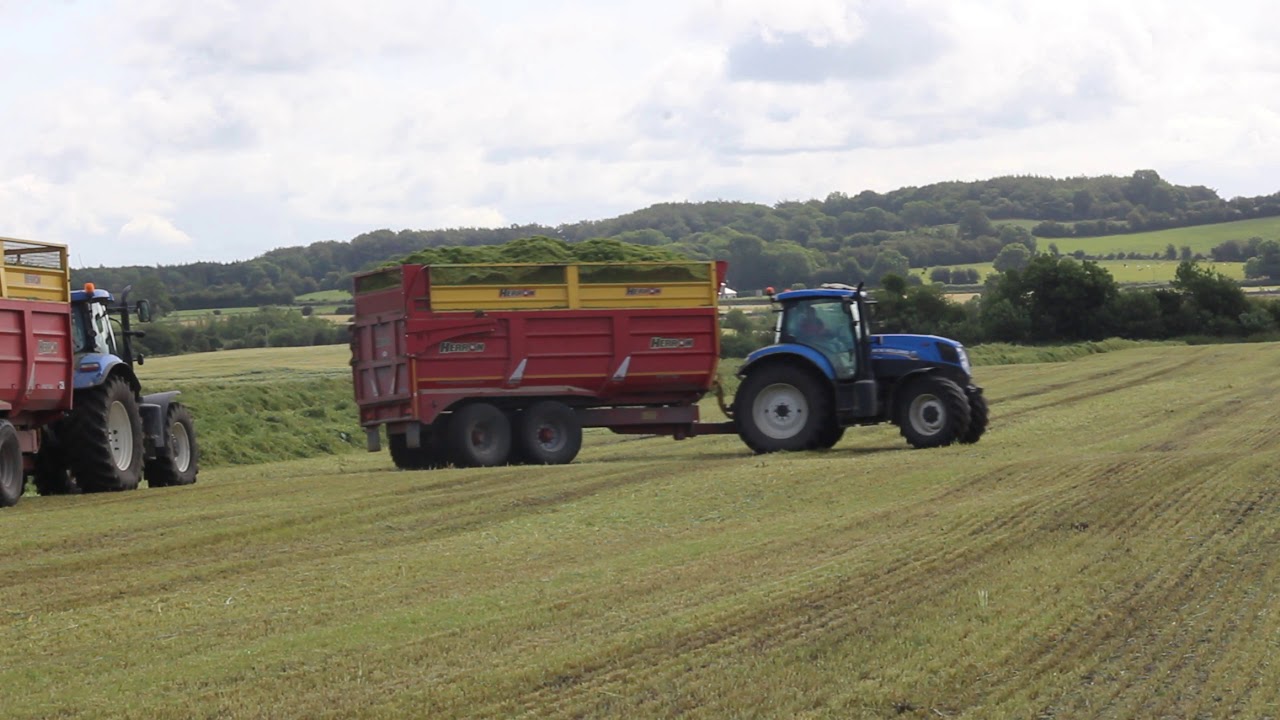 John Tynan wholecrop 2019