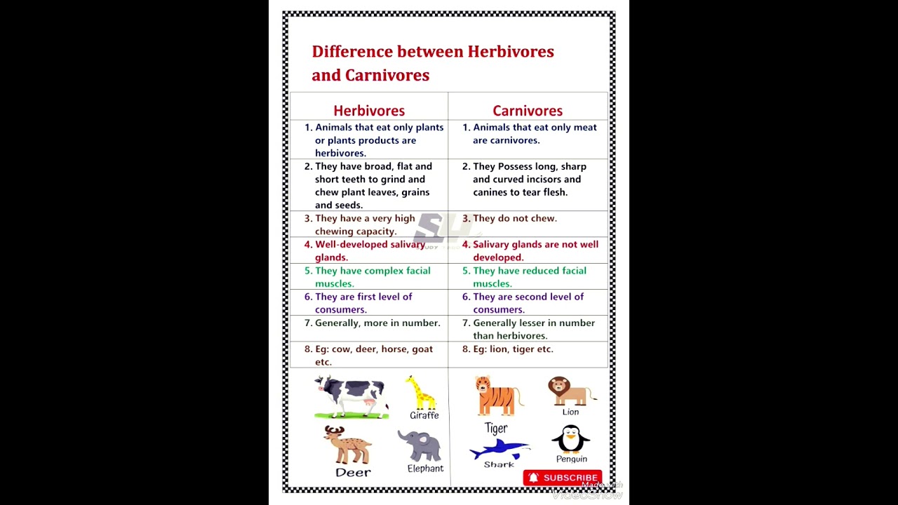 Difference between herbivores and carnivores