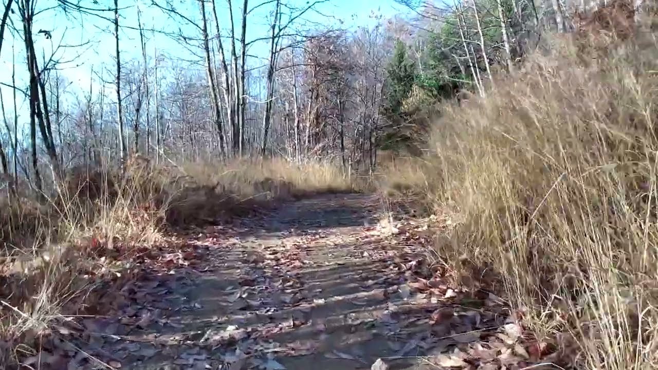 4K Nature walk 25 minutes no people