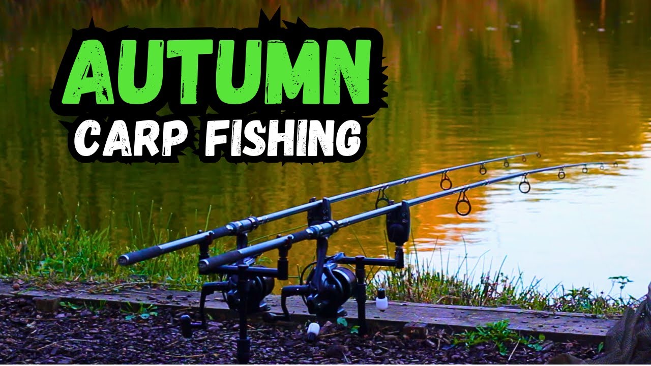 36hrs to Catch MONSTER Carp at MOUSEHOLE LAKES