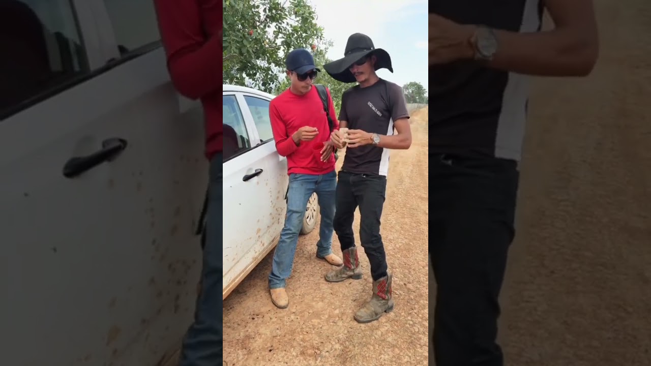 Seu Miguel e o Calango se ajudam a dar golpe nos meninos no buteco￼