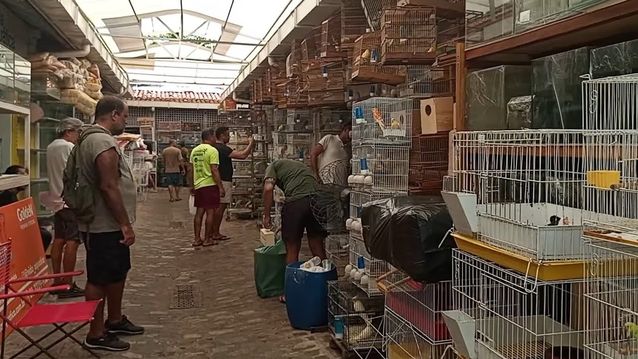 MERCADO DA MADALENA, DIA INTERNACIONAL DAS MULHERES, 08/03/26