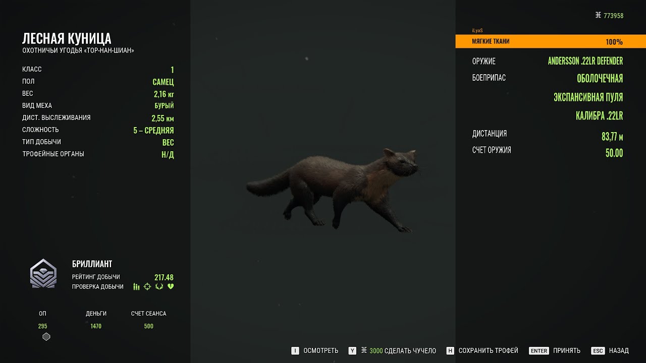 Eurasian pine marten - 5/Diamond