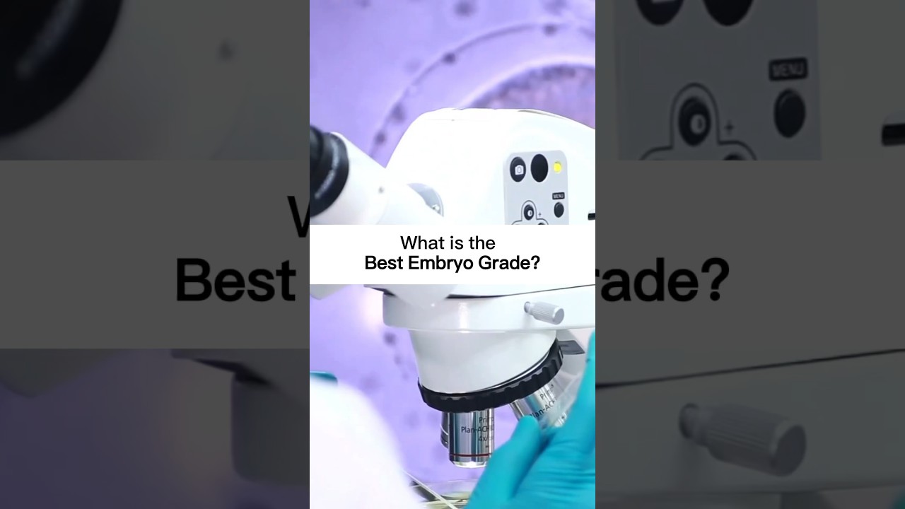 What Is The Best Embryo Grade?