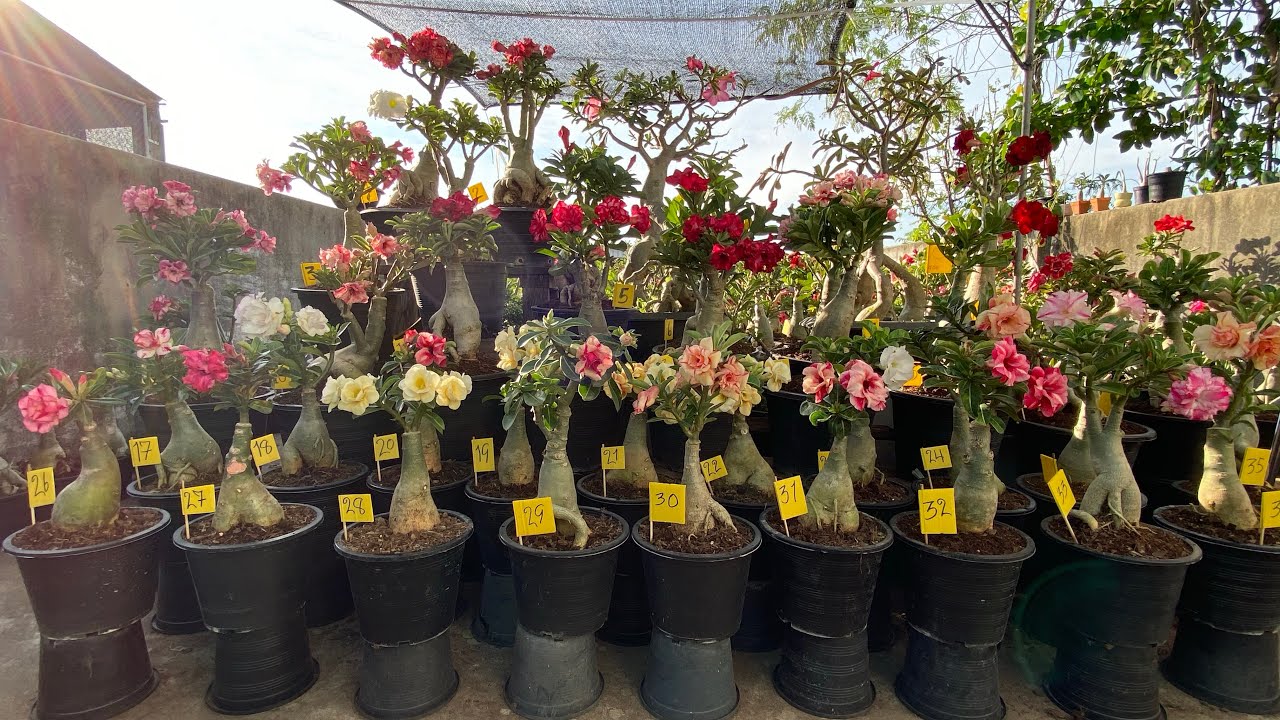 รีวิวชวนชมสวยมากๆครับใครพลาดเสียดายนะครับ. 098-008-3074
