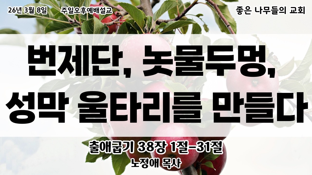 26년 3월 8일 주일오후예배 