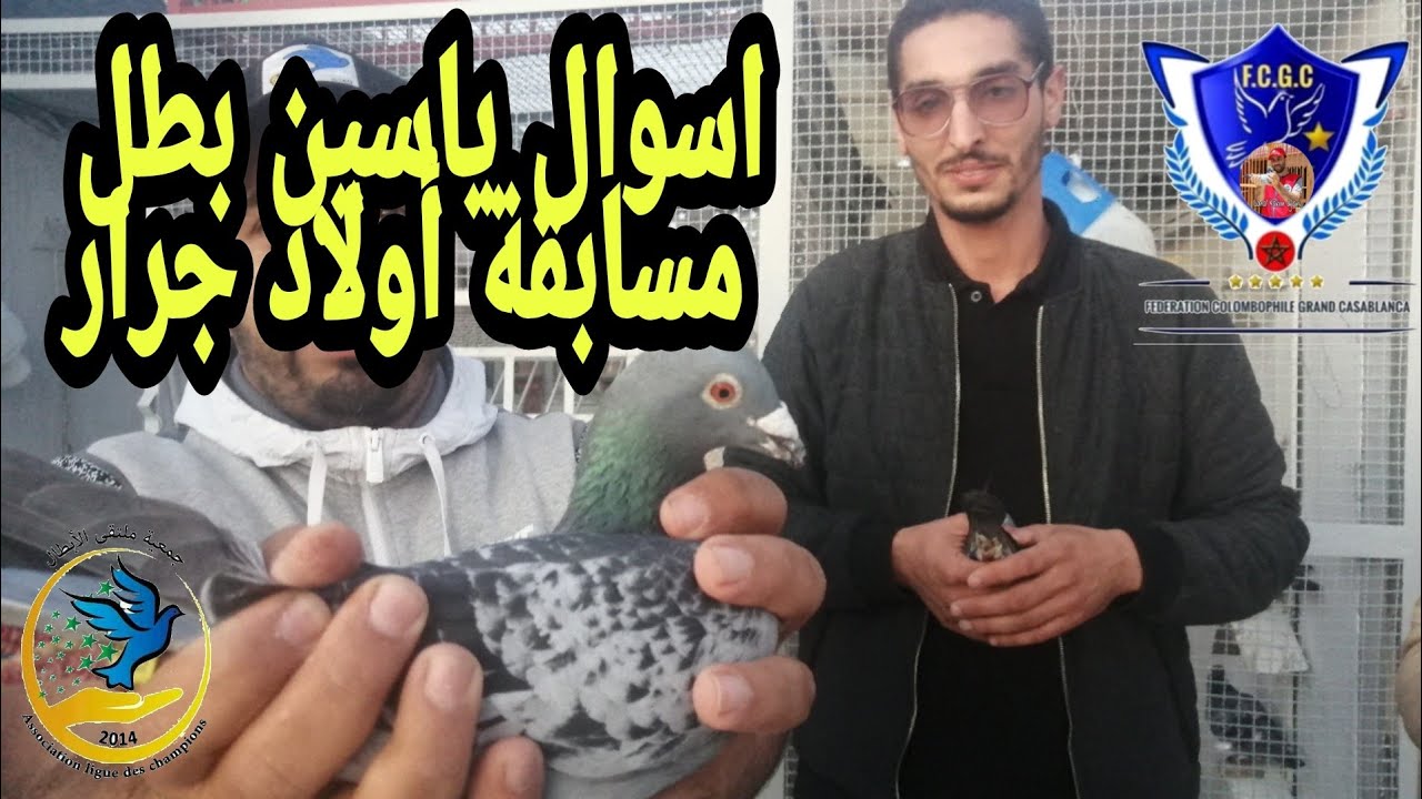 💣بطل سباق اولاد جرار🔥 ياسين أسوال عن جمعية ملتقى الأبطال وكذلك فدرالية الدار البيضاء الكبرى.