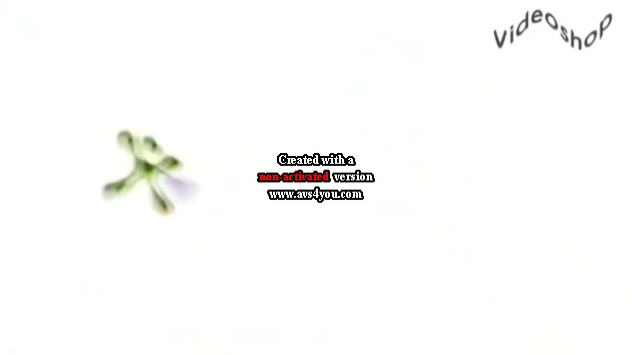 Cingular Logo AVS Effects 