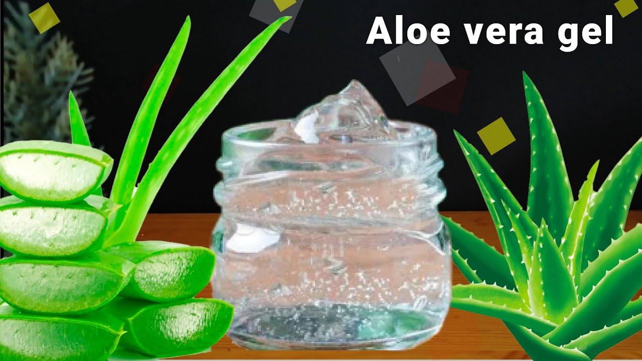 CÓMO HACER GEL DE ALOE VERA CASERO y COMO CONSERVARLO POR AÑOS | GEL DE SÁBILA 100% PURO✅