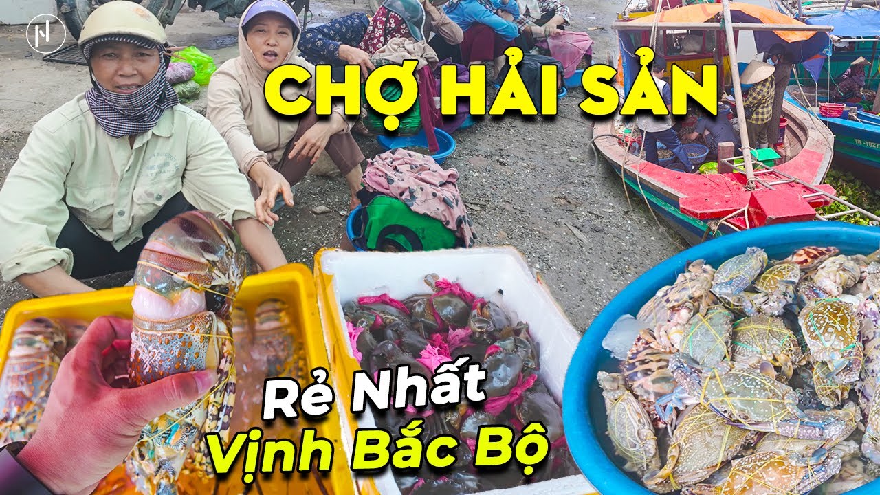 Lạc vào Chợ Hải Sản Ven Biển, CẢNG CÁ TÂN SƠN - Diêm Điền Thái Bình, Giá Rẻ Bất Ngờ !