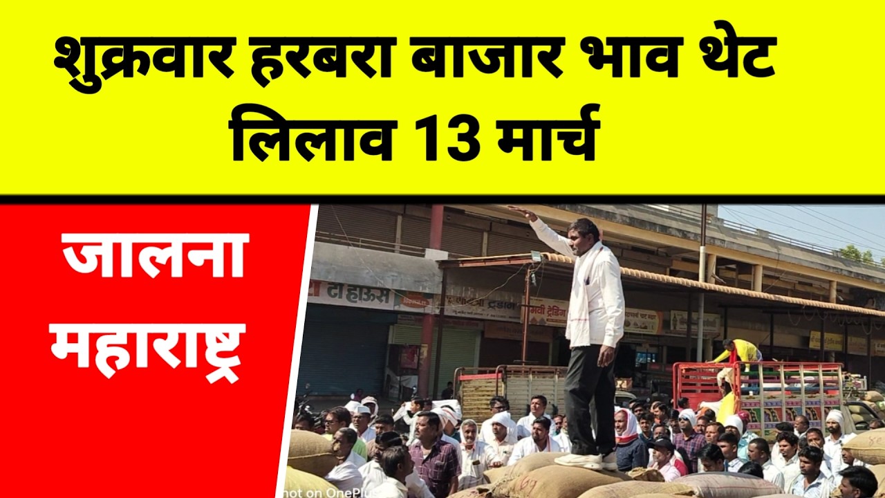 शुक्रवार हरबरा बाजार भाव थेट लिलाव 13 मार्च जालना महाराष्ट्र || नवीन हरभरा काय विकतो