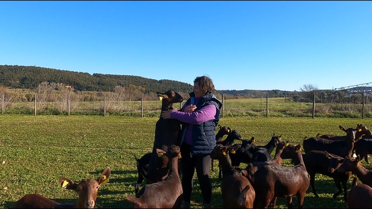 Quinta da Beata - exploração de caprinos de leite com produção de queijos personalizados