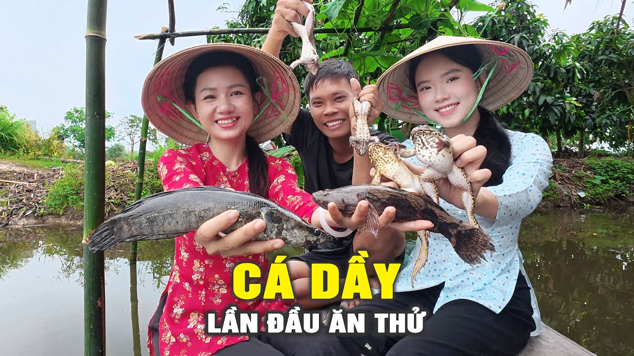 🔴 Bộ Ba Báo Thủ Về Chòi Lần Đầu Bắt Được Cá Dầy | Cẩm Hằng
