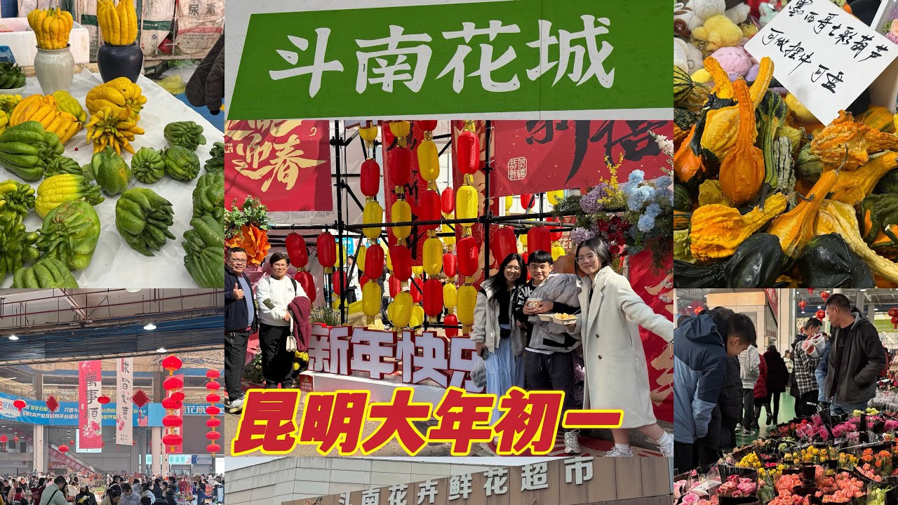 大年初一我们一起在昆明过年🧨看看这里斗南花市场真的太美了