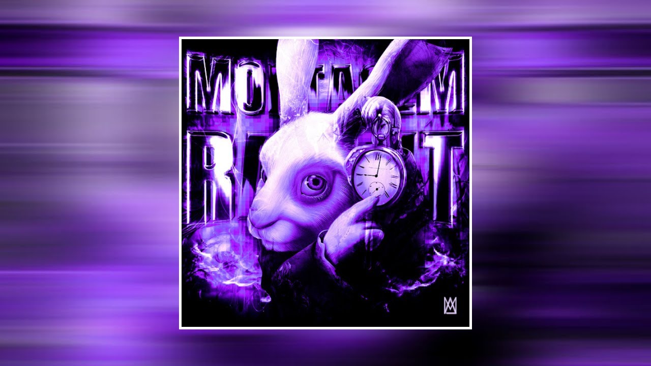 MGXTXM - MONTAGEM RABBIT