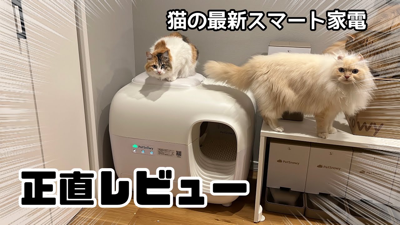 最新猫用自動トイレ使ってみたらQOL爆上がりした件