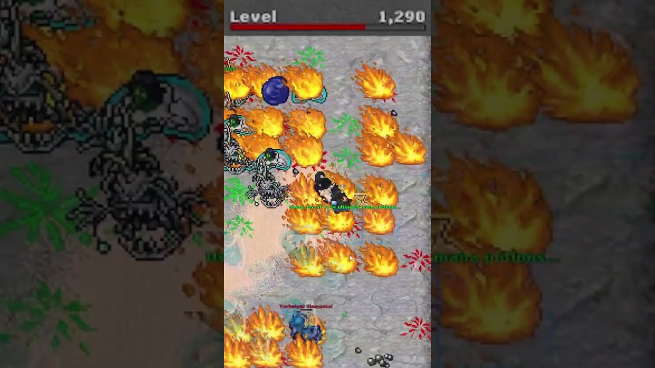 POTRAWKI WDUPCAŁ I SIĘ PRAWIE POKICHAŁ W MAJTY  #tibia #shorts #funny #gaming #tibijkahere #kick