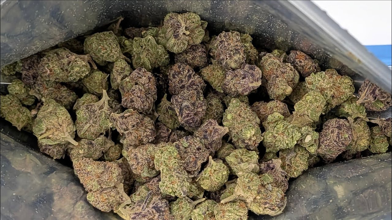 THCA SMALL BUDS | HIGH SOCIETY | CHEAP THCA SMALLS SECTION | Thca review!! TSB small buds!!