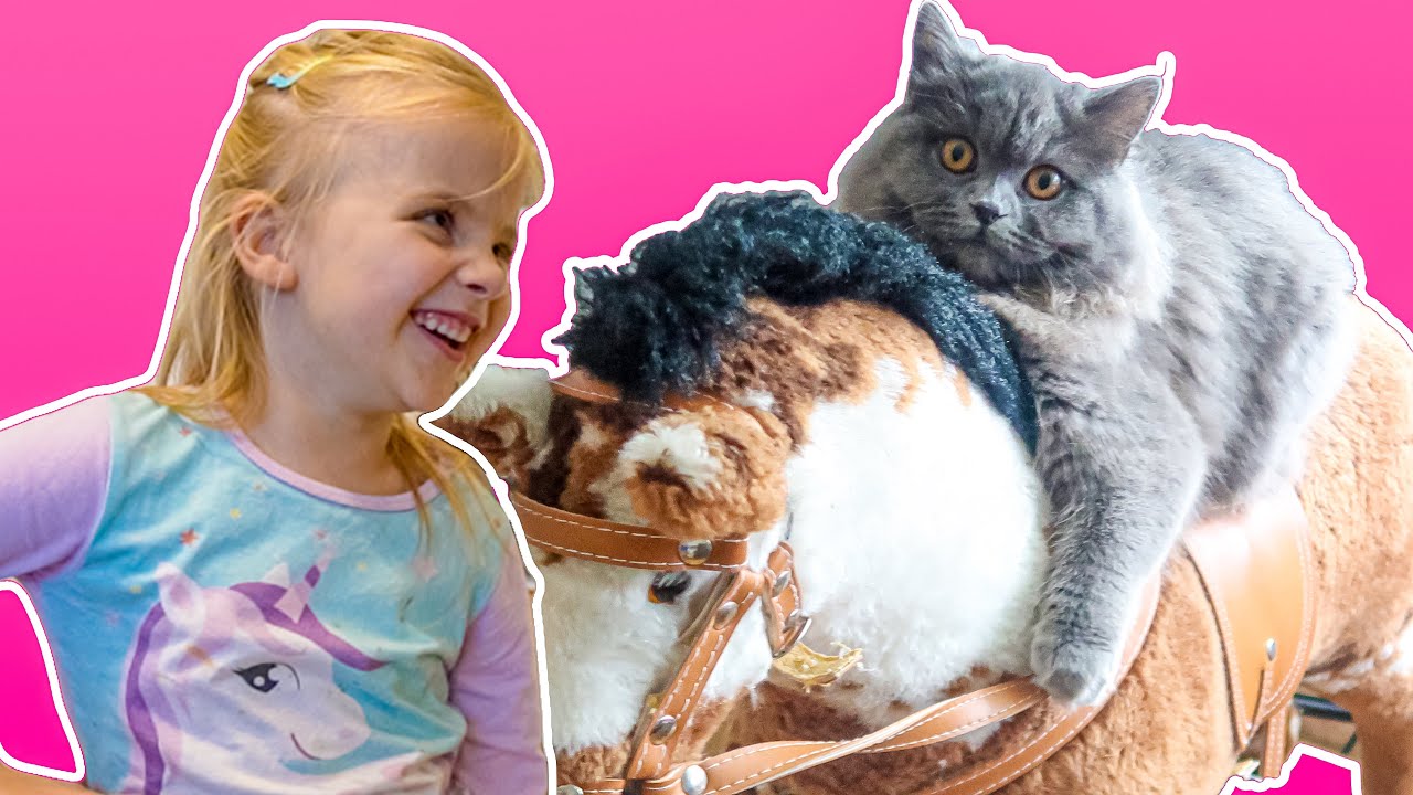 Wie gehts Paulinas neuen Katze? 🐈 Mit Katze spielen und füttern | KATZEN KINDERVIDEO