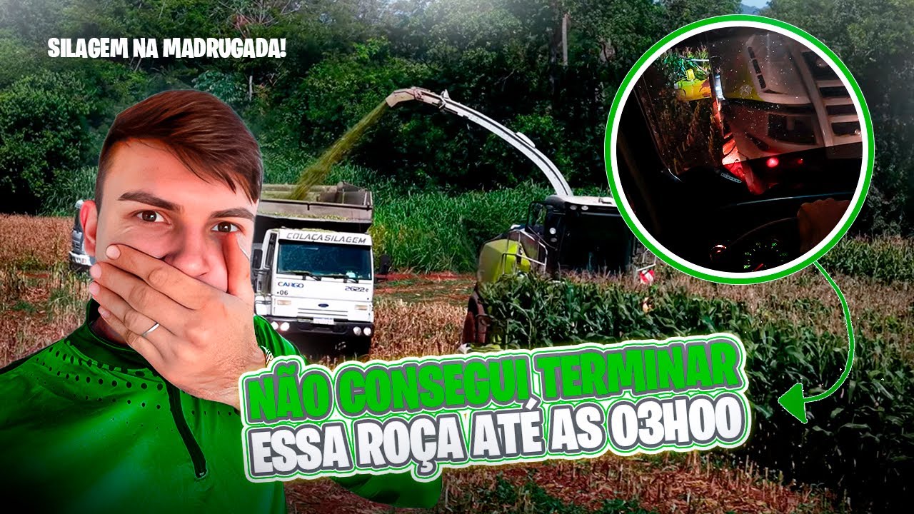 NÃO CONSEGUI TERMINAR ESSA ROÇA DE SILAGEM ATÉ AS 03H00
