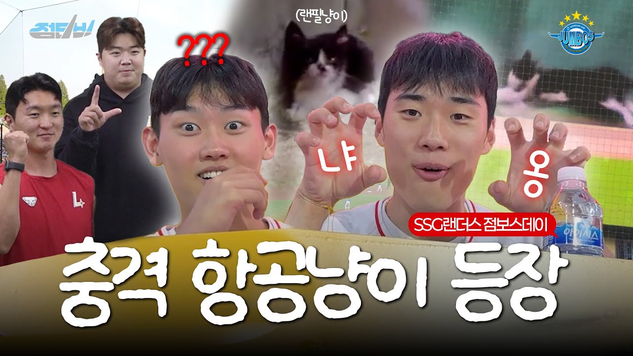 [JUMBOSTV] 랜필에 등장한 끼누와 항공냥이(?)⚾🐈