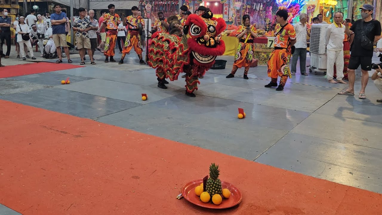 新加坡勇勁體育會 Singapore Yong Jin Lion Dance Cai Qing Performance at AMK 龍山岩斗母宫 on 20/10/23