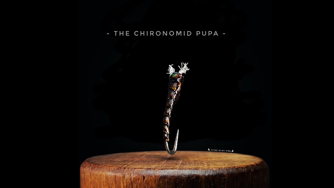 The Most Imitative Chironomid - An Instructional Fly Tying Video