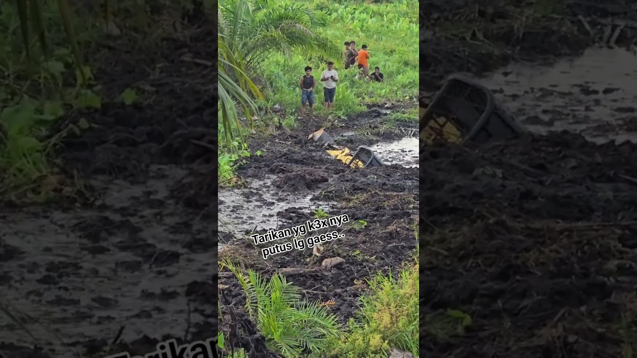 Excavator tepuruk dalam rawa saat pembuatan parit kelapa sawit #lansirsawit #sawitbuahpasir #sawit