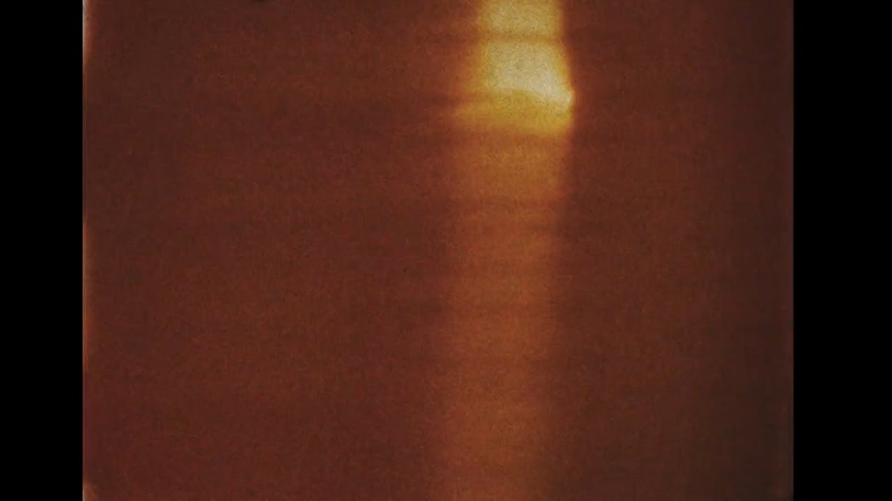 plantcham // experimental type beat - 