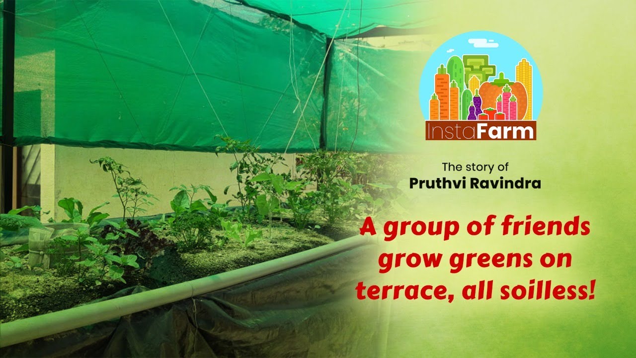 Pruthvi Ravindra | A Organic Vegetable Farmer | Special Story @ InstaFarm