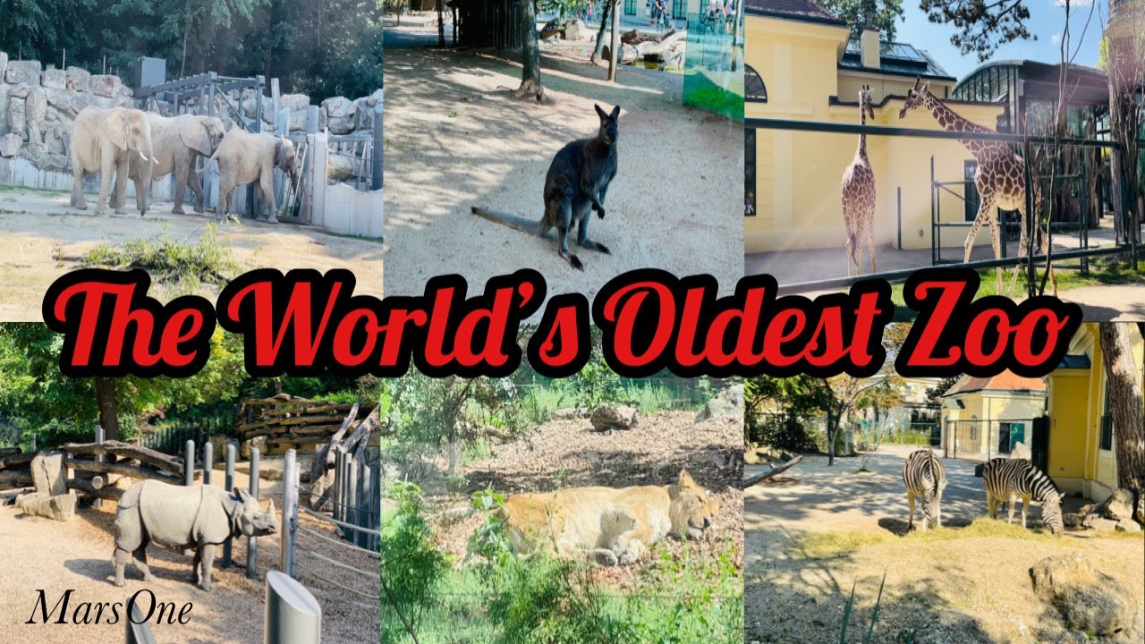🇦🇹 Vienna Zoo #Austria‎ Tiergarten Schönbrunn | Schönbrunn Zoo @MarsOne41