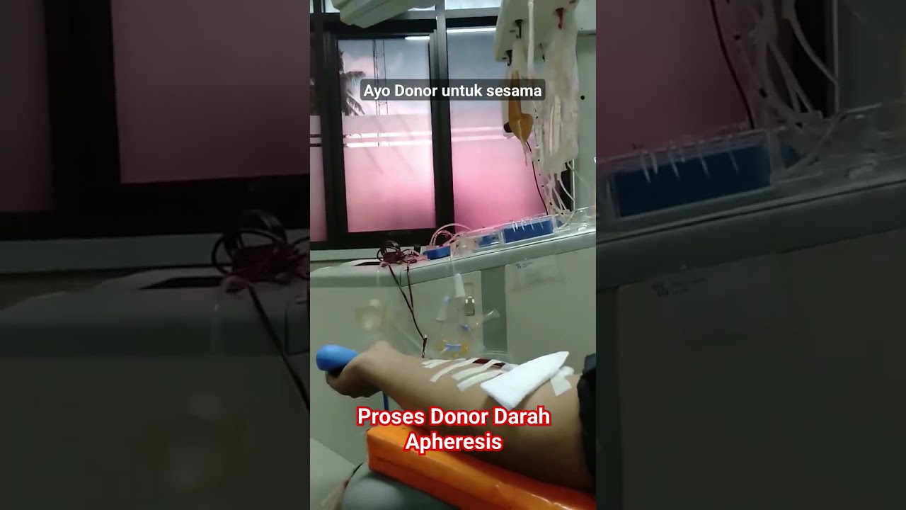 Donor Darah Apheresis #donordarah #pmi #kemanusiaan