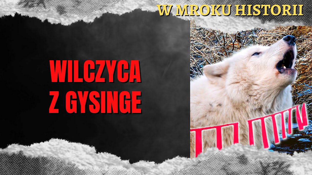 Wilczyca z Gysinge | W mroku historii #46