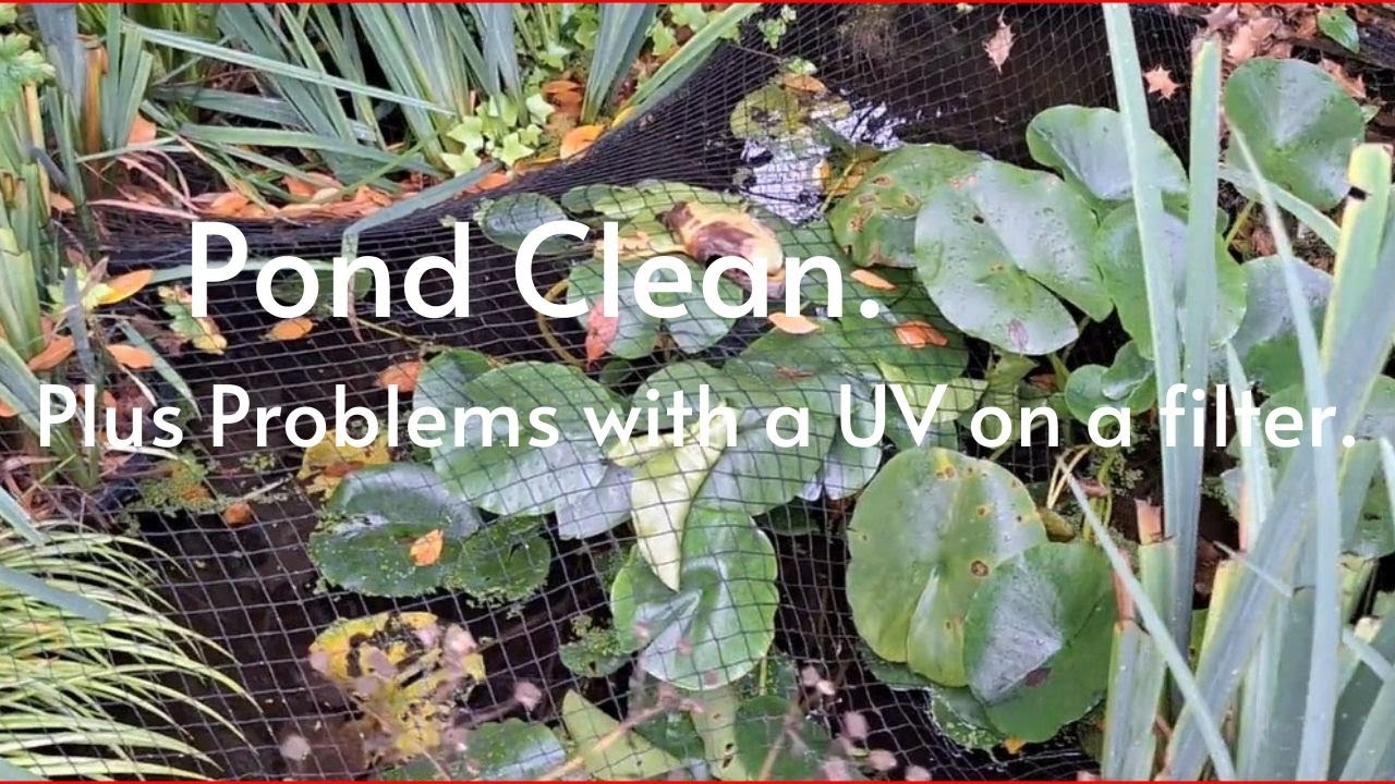 Pond Clean and Problems with UV unit...