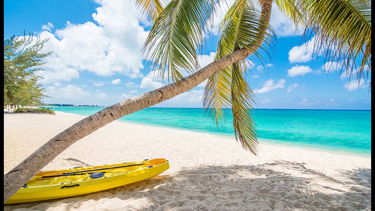 [SOLD] ZEZE x Caribbean x Beach Type Beat - 