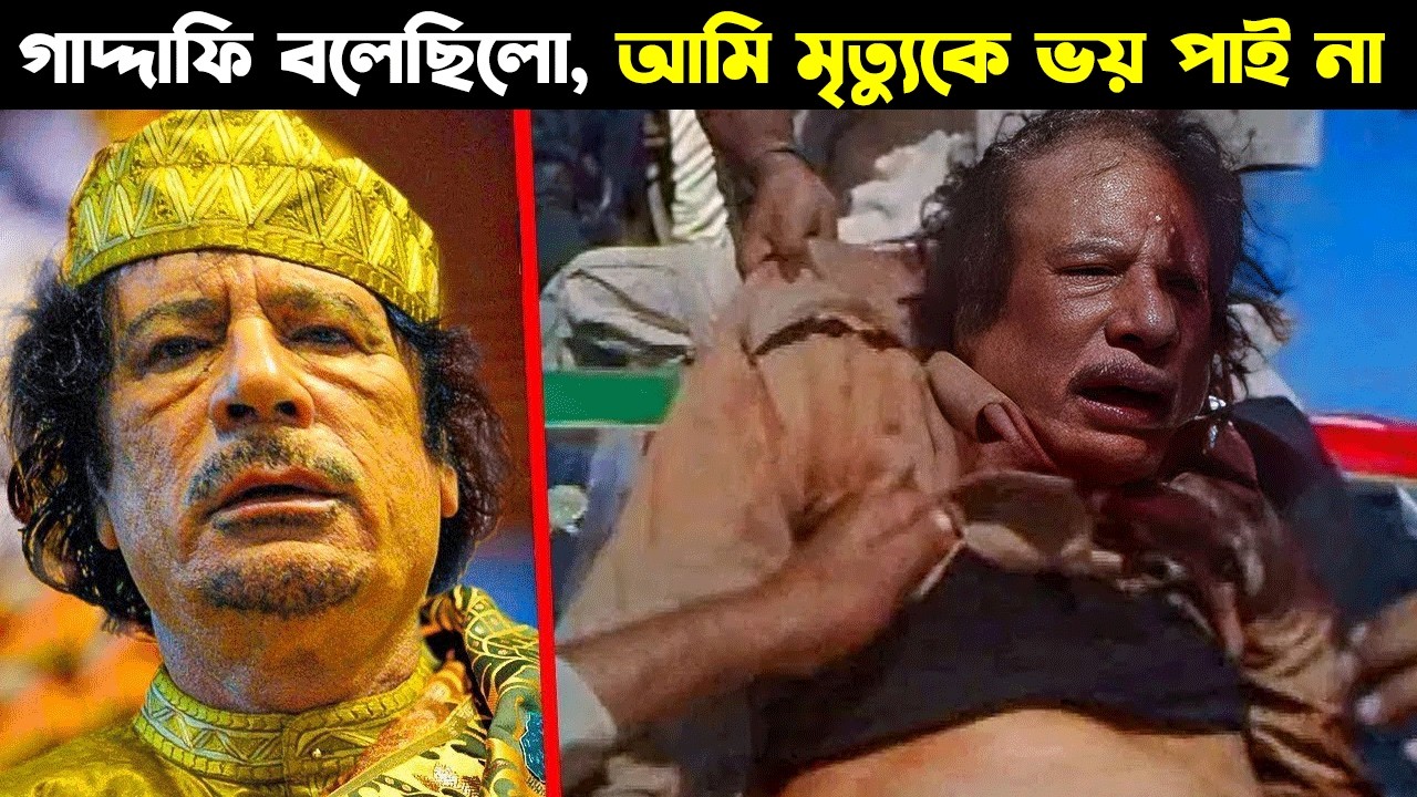 যখন গাদ্দাফি বলেছিল :  আমি মৃত্যুকে ভয় করিনা, কিন্তু তারপর যা ঘটেছিলো ..