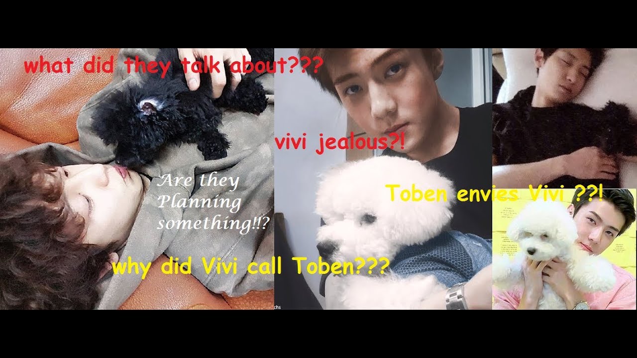 When Sehun Vivi Calls Chanyeol's Toben (FAKE CONVERSATION)